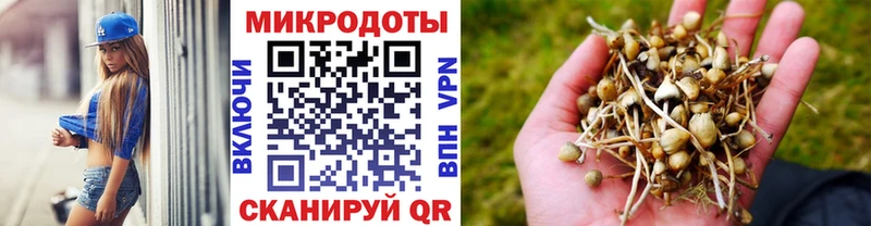 Галлюциногенные грибы Cubensis  Купить закладки  Буинск 